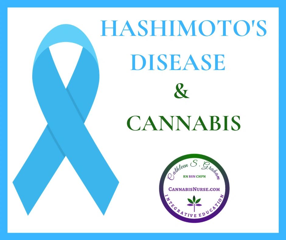 Autoimmune Diseases and Cannabis Part 8 Hashimoto’s Disease